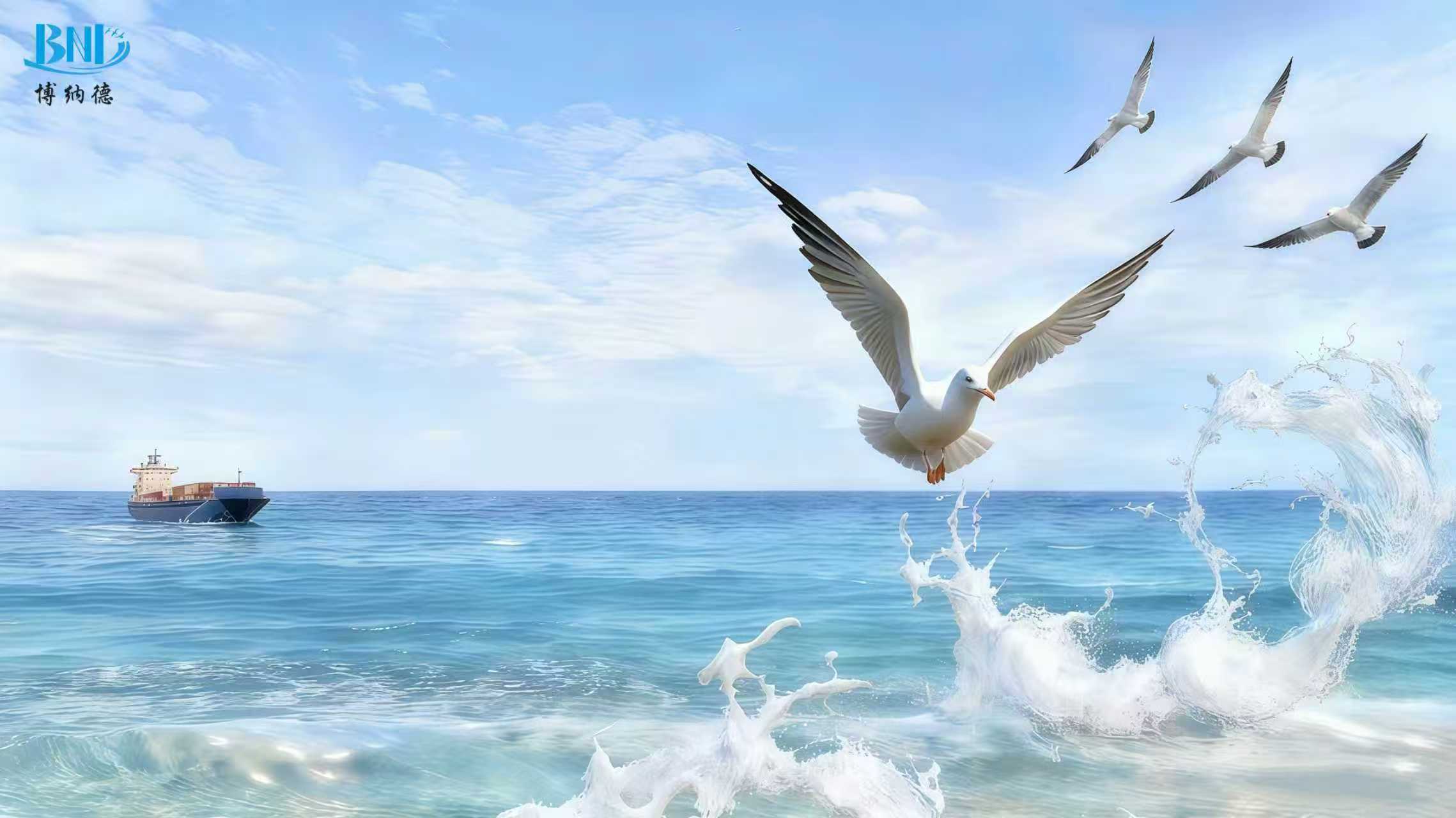 1762339986220207.jpg 伯纳德.jpg