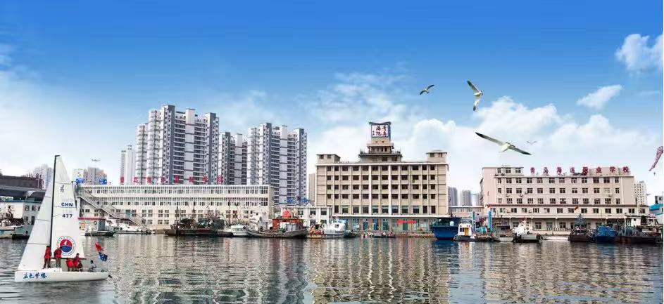 青岛海运1.jpg